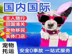 新郑航空物流国际宠物托运 【国